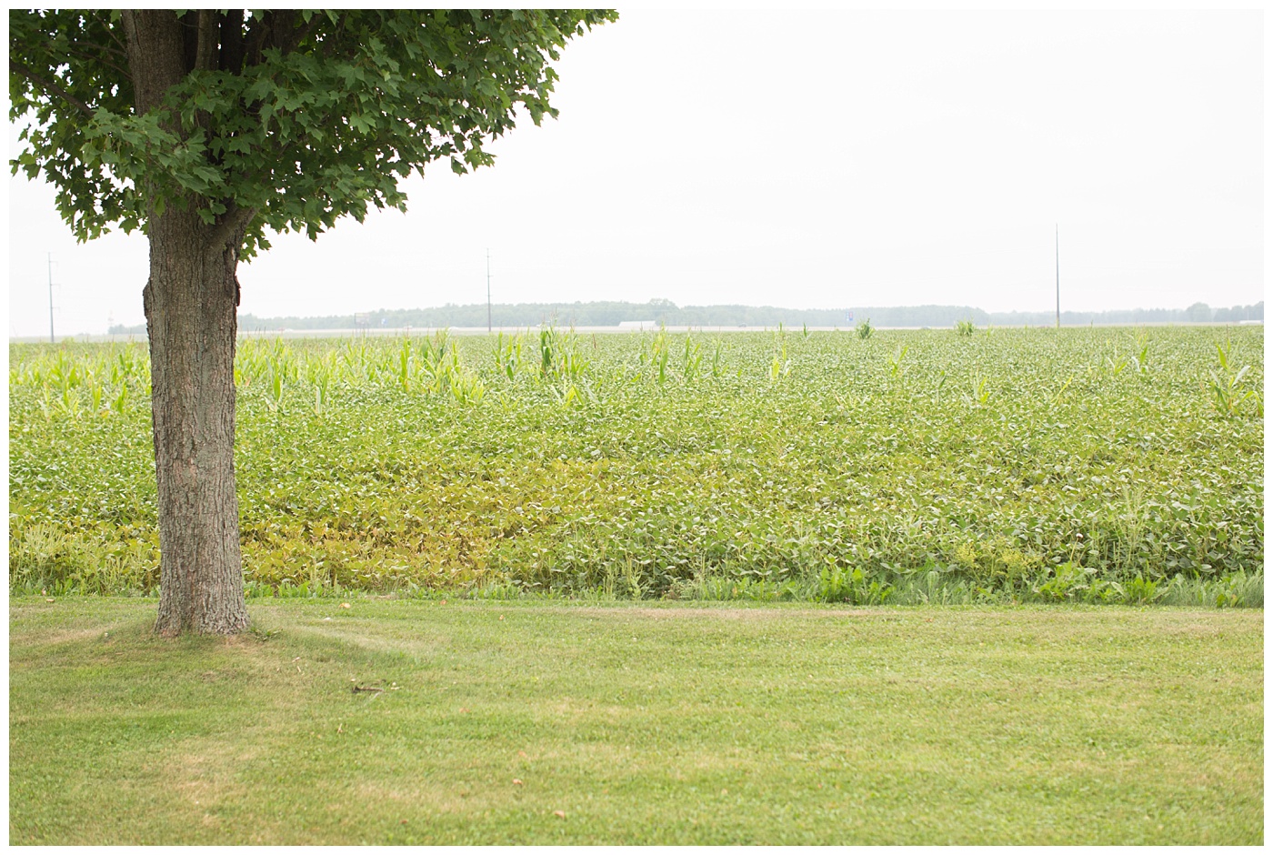 stacey-poterson-country-church-wedding-wisconsin-weddings_0462.jpg